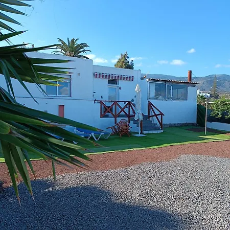 Vivaldi Summer * Icod De Los Vinos