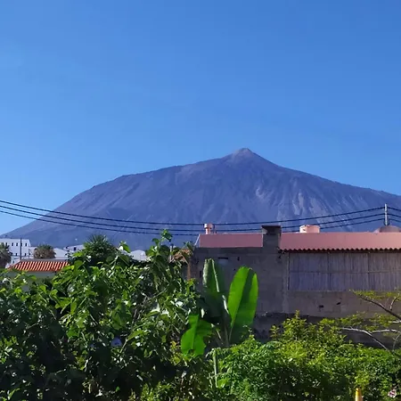 Vivaldi Summer Icod De Los Vinos